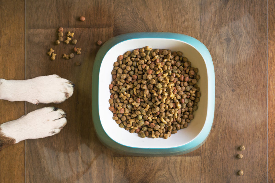 ExactMats - Clear Pet Bowl Mat