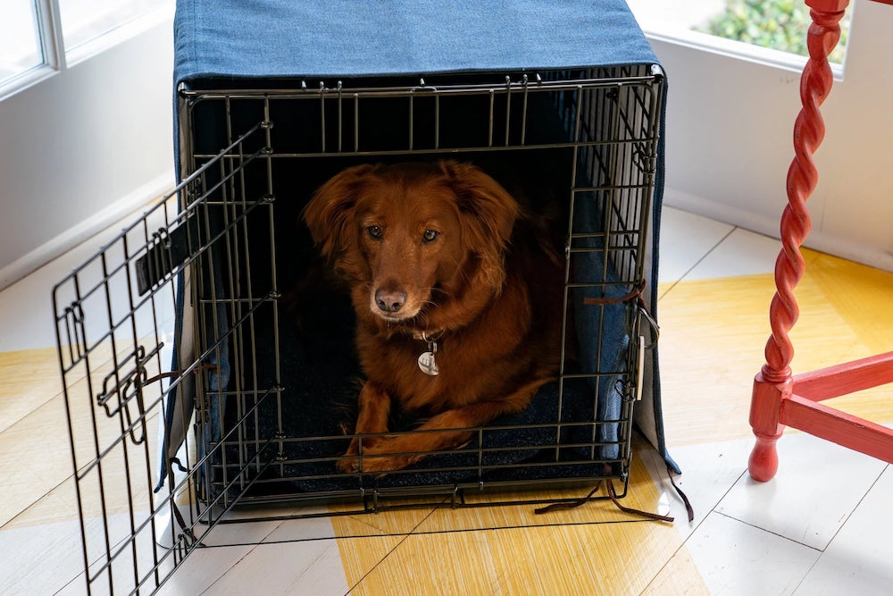 Dog Crate on top of Crystal Floor Protector All SHOW