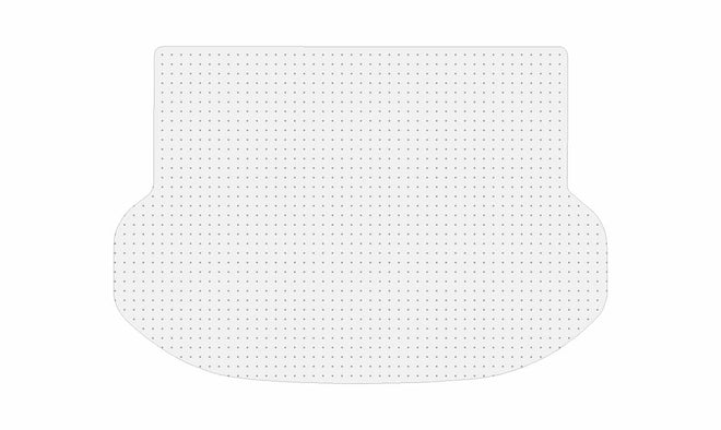 Lexus NX 300h [2015 - 2021]