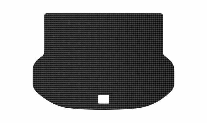 Lexus NX 300h [2015 - 2021]