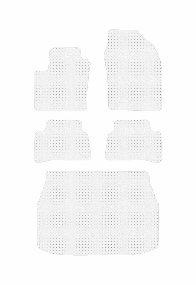 Toyota C-HR [2018 - 2022]