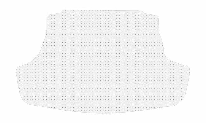 Toyota Camry [2018 - 2024]