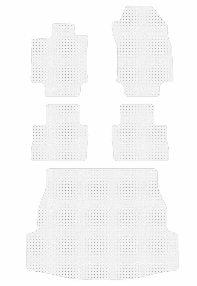 Toyota RAV4 Hybrid [2019 - 2025]