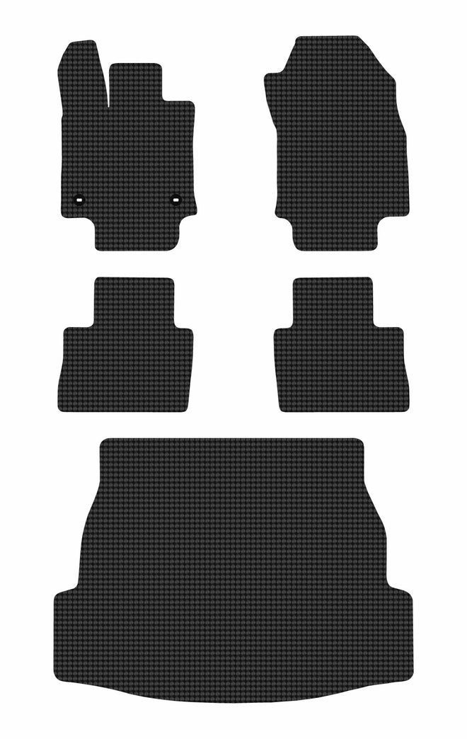 Toyota RAV4 Hybrid [2019 - 2025]