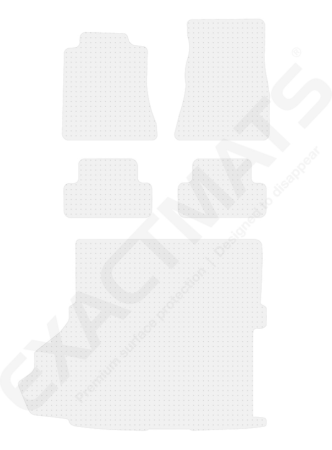 Ford Shelby GT350 / GT350R [2016 - 2020]