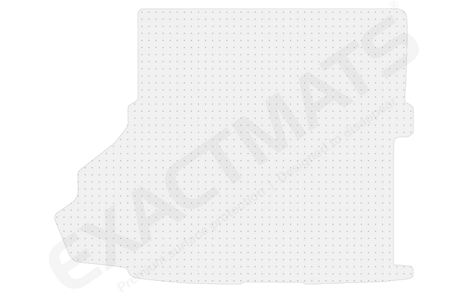 Ford Shelby GT350 / GT350R [2016 - 2020]