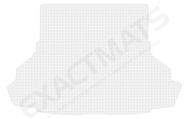 Ford Shelby GT350 / GT350R [2016 - 2020]