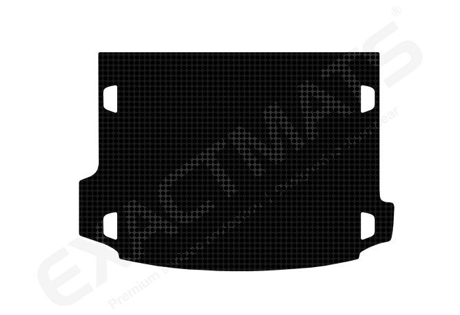 Land Rover Range Rover Evoque (without Cargo Loadspace Rails) [2020 - 2025]