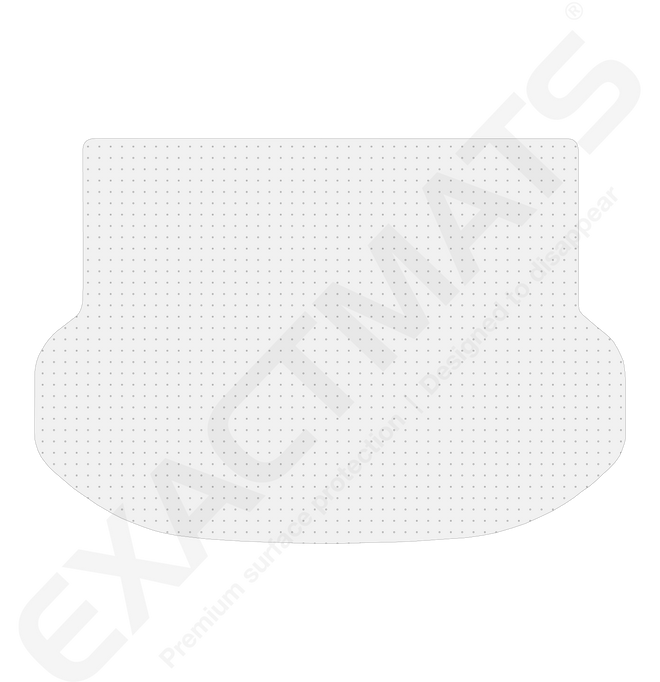 Lexus NX 300 [2018 - 2021]